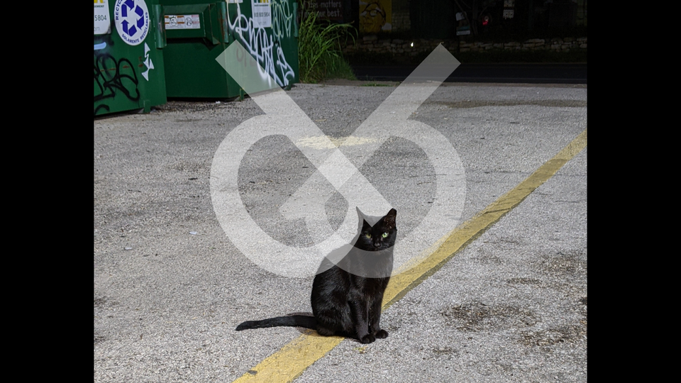 daphnis logo transparent over a black cat in an empty parking lot next to graffiti'd dumpsters