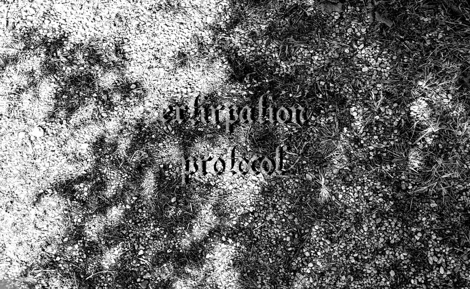 shadowy nature scene in b&w with high contrast and little details, serif font saying extirpation protocol