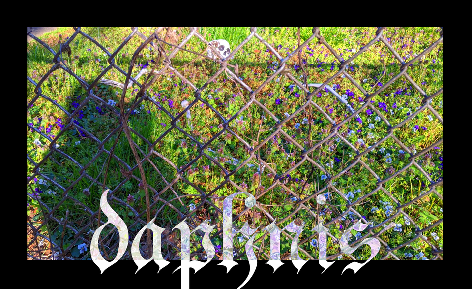 daphnis logo on top of a picture of a figure shadowy in front of a skeleton which is being filled with plants as they grow