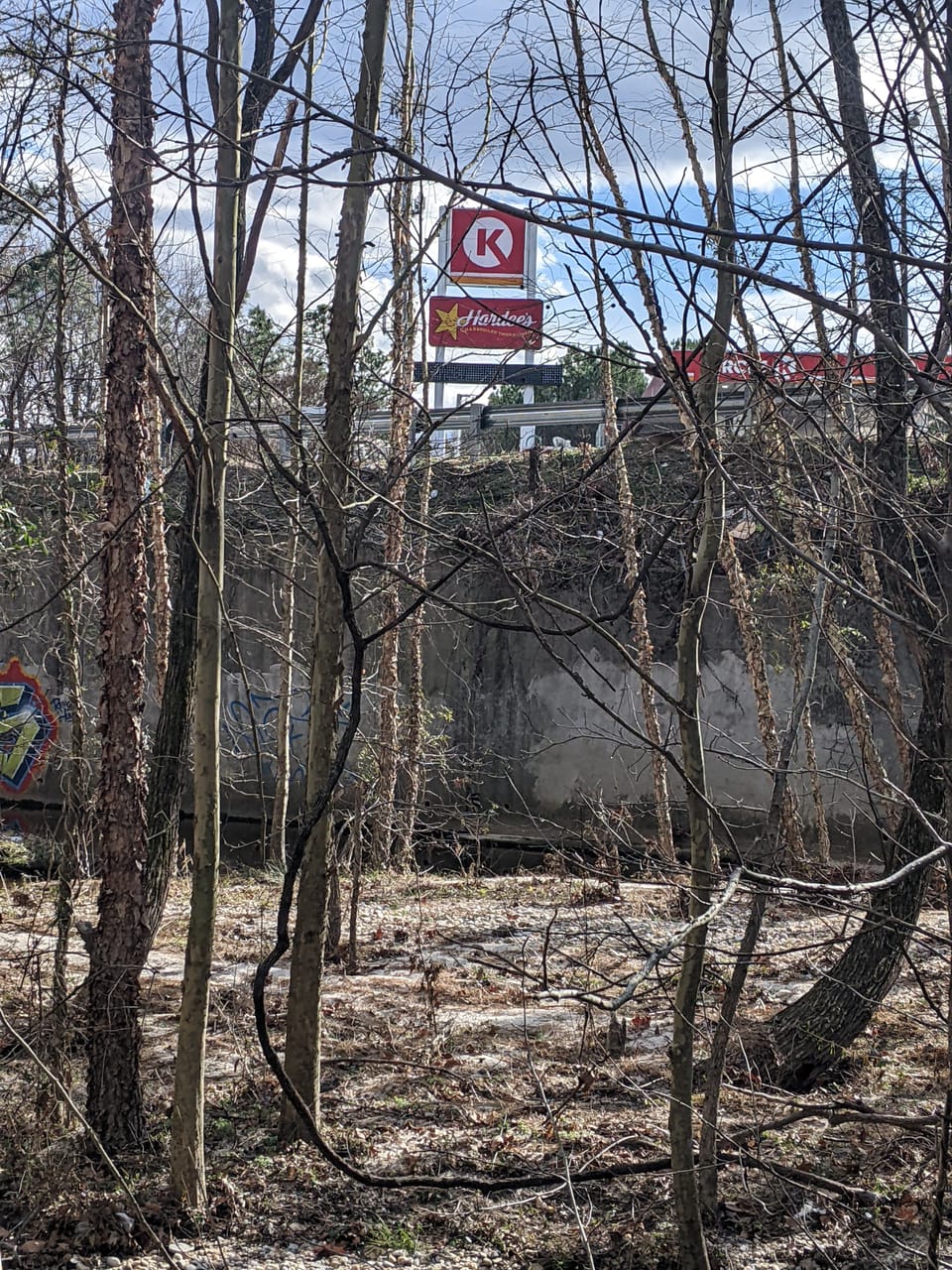 hardee's sign across the road from down in the small forest and str